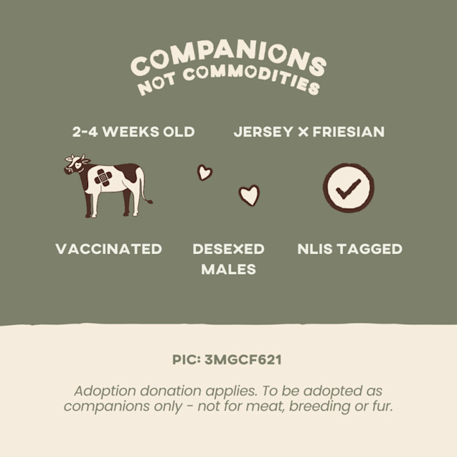 Photo of Theo And Leo