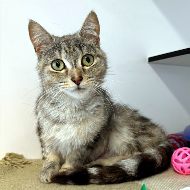 Photo of Lily Sta014321