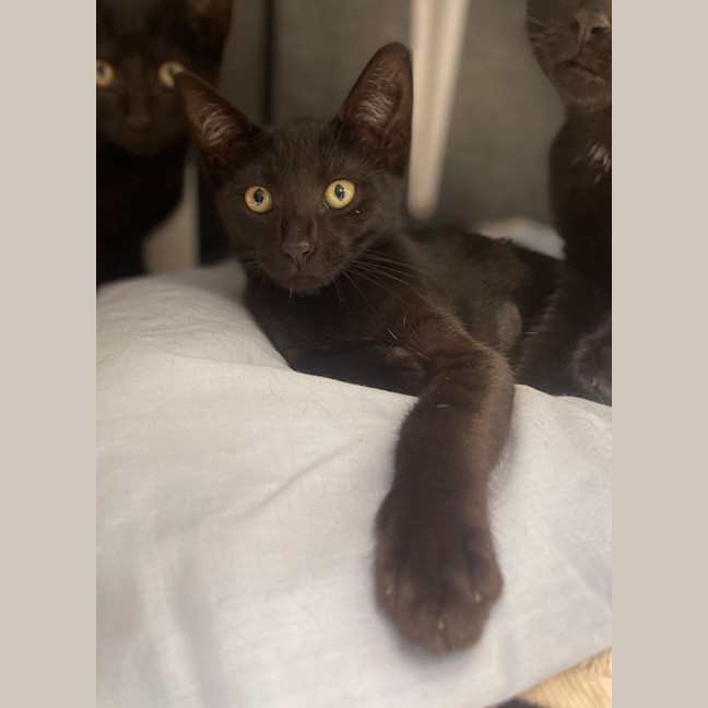 Photo of Molly