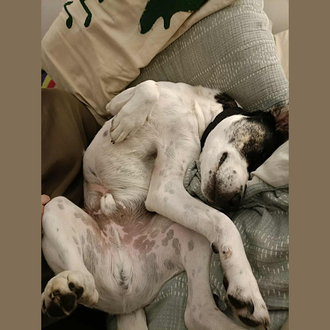 Photo of Froobie