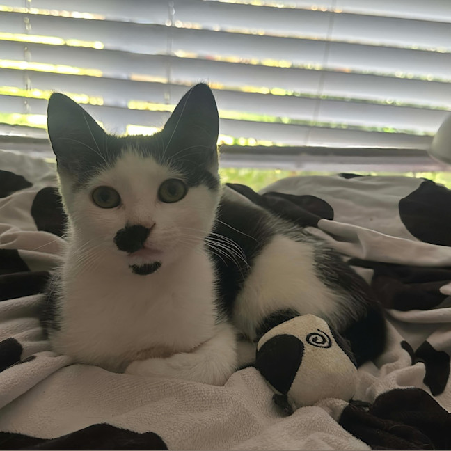 Photo of Tuna