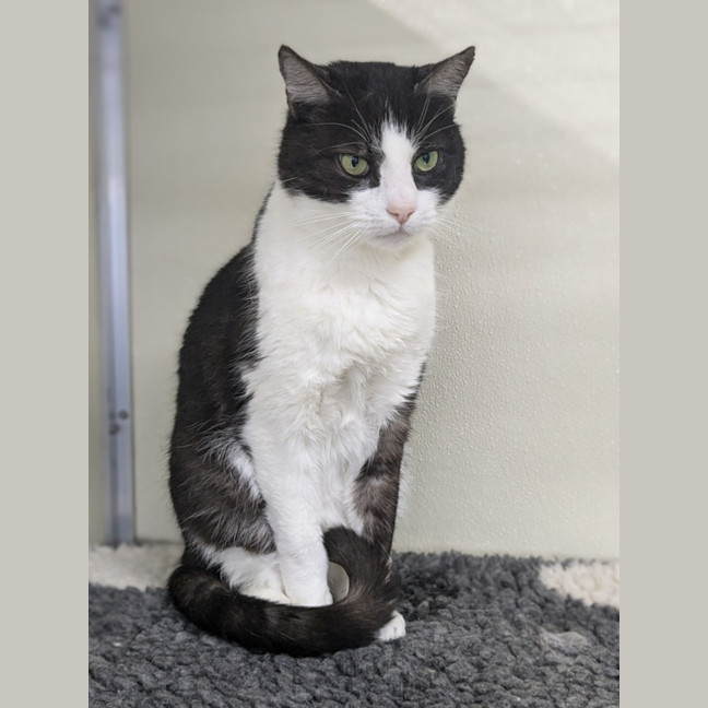 Photo of 🐦 Carlo 5437 🐦