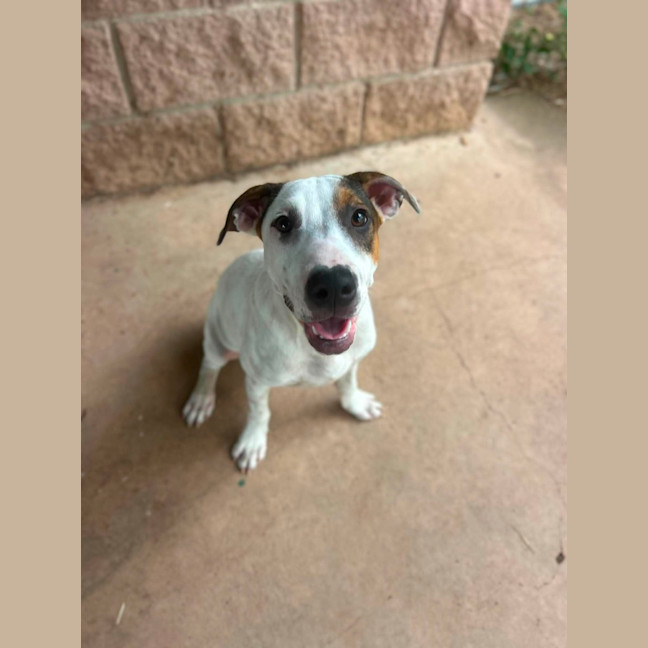 Photo of Harley