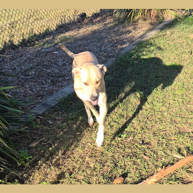 Photo of Narla (8063)