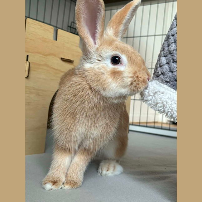 Photo of Jinny