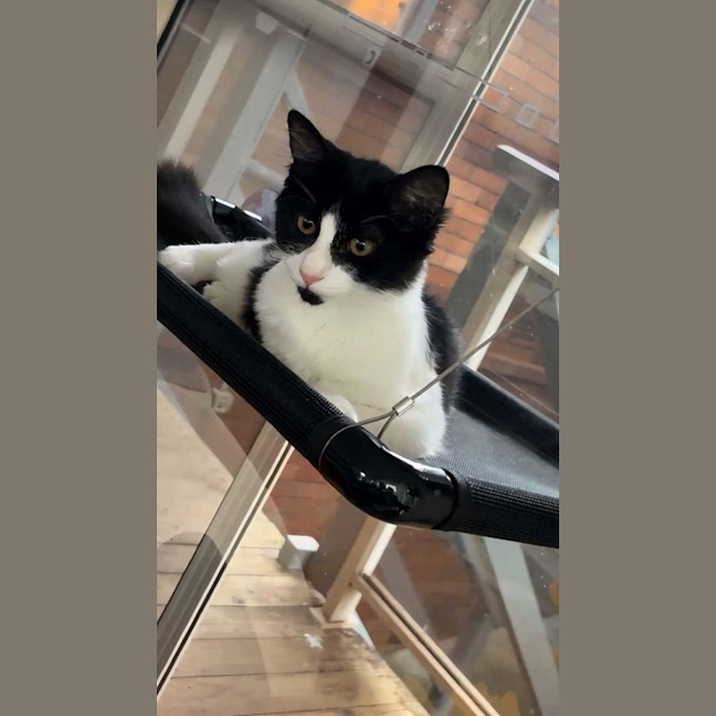 Photo of Theo