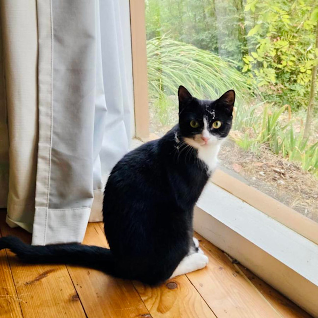 Photo of Edith   Located In Warrandyte