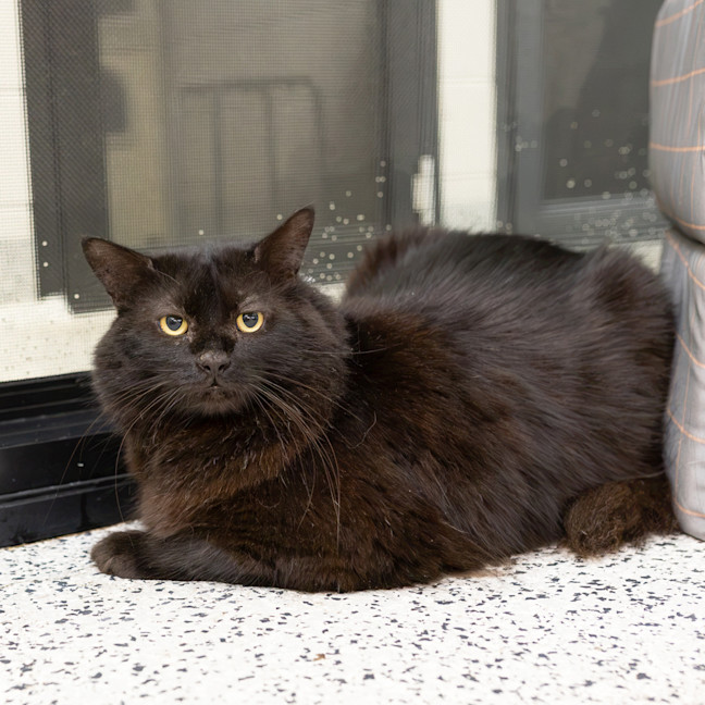 Photo of Ragnar