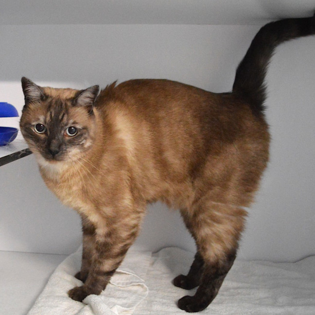 Photo of Buddy