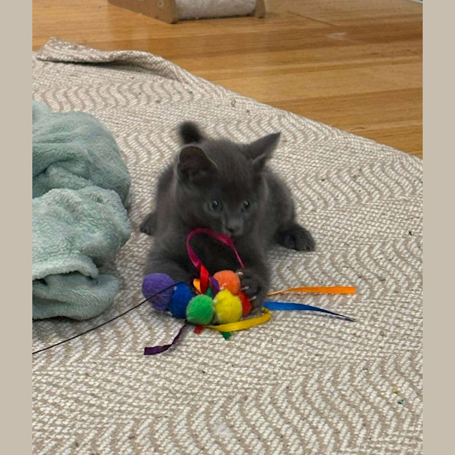 Photo of Oli