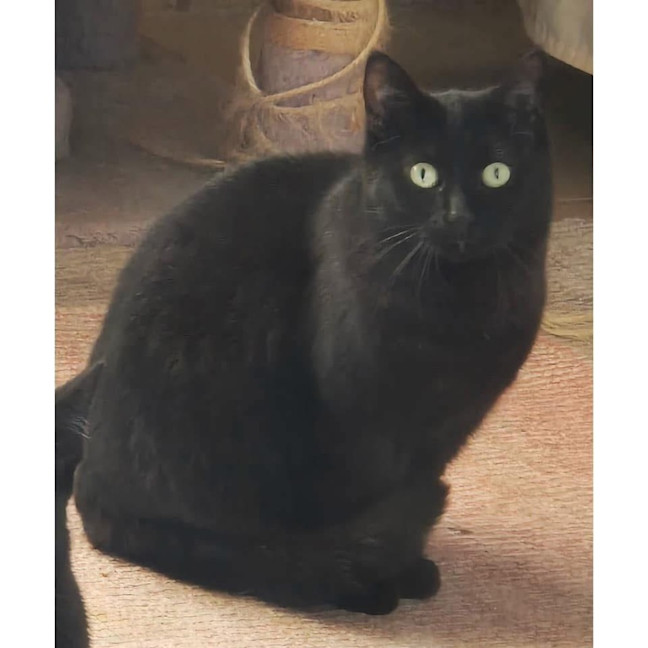 Photo of 4664   Emerald