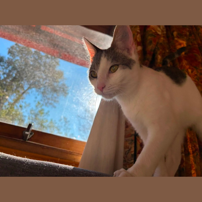 Photo of Billy