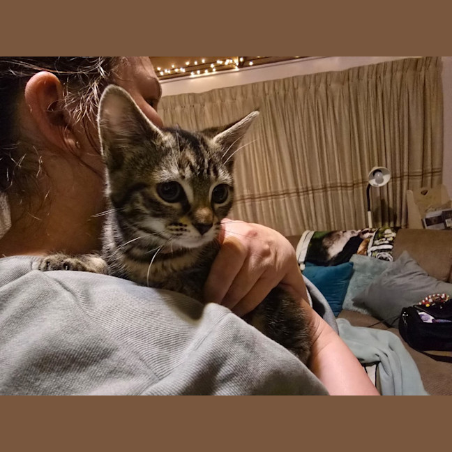 Photo of Agnes Addams