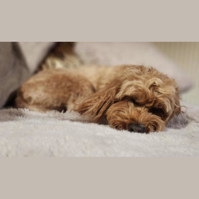 Photo of Winston Quinell