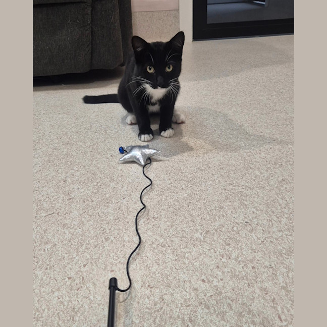 Photo of Onyx (0032)