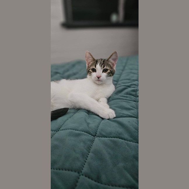 Photo of Sally
