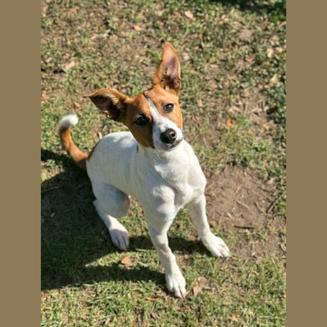 Photo of Jill