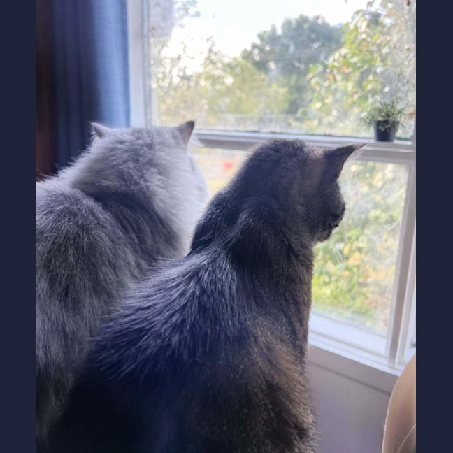 Photo of 🤍Emmett🤍