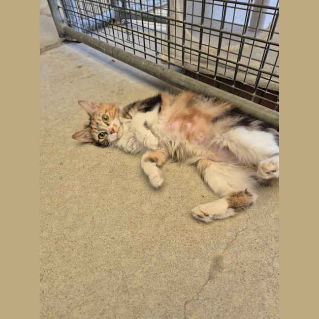 Photo of Maree! 🎀