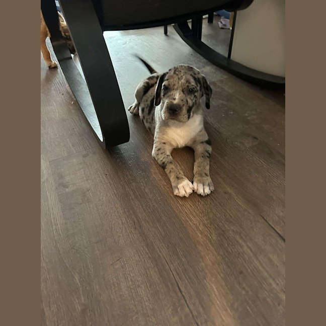 Photo of Jobberknoll