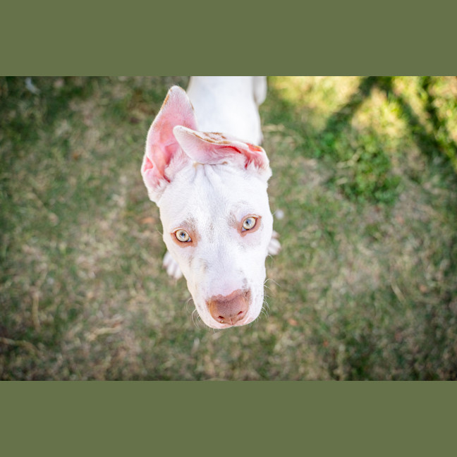 Photo of Squint