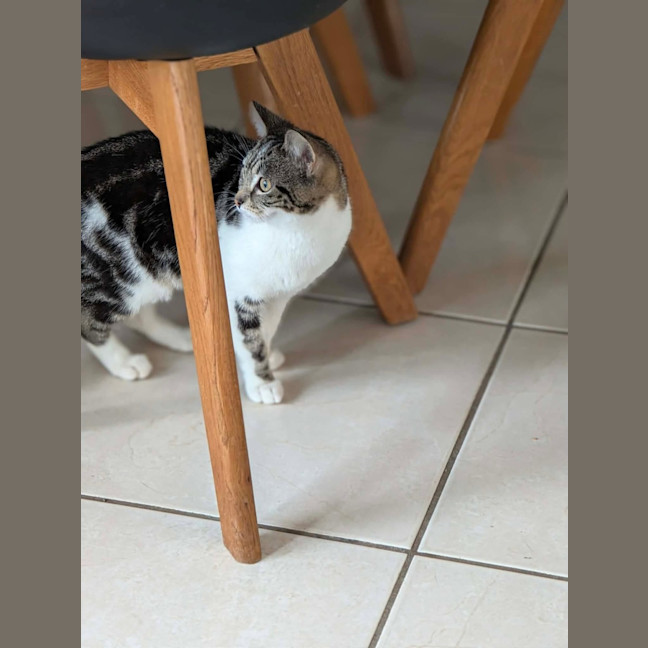 Photo of Jemima