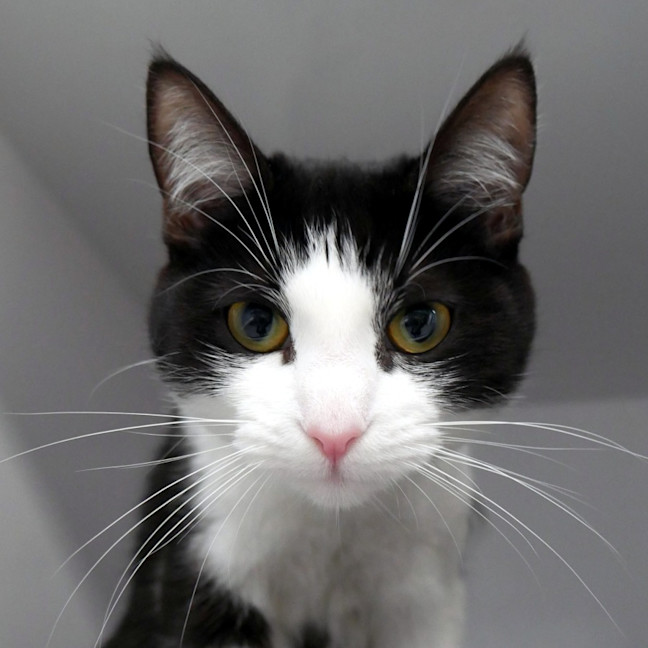 Photo of Chloe Sua014411