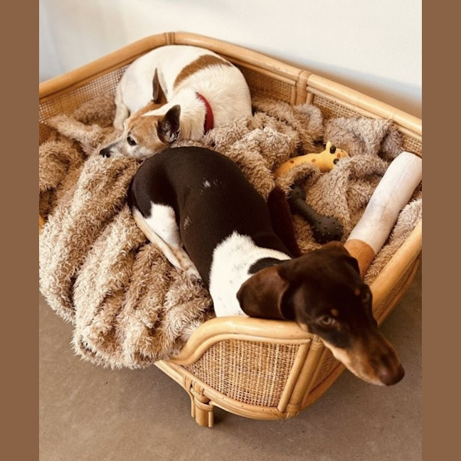 Photo of Silly Billy 