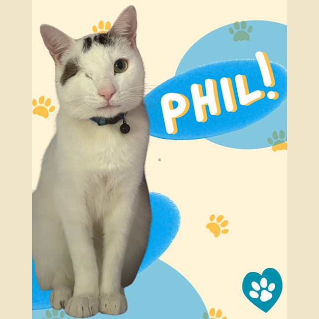 Photo of Phil 