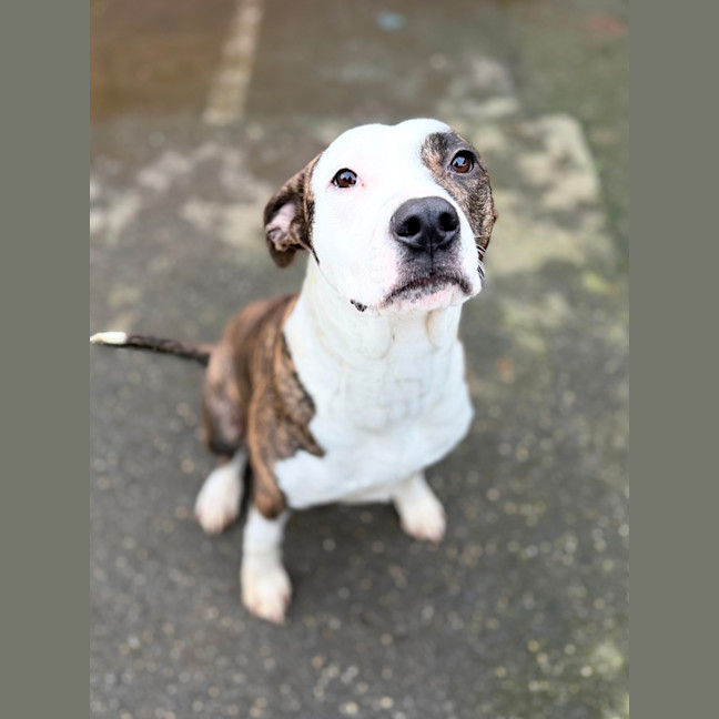 Photo of Annie