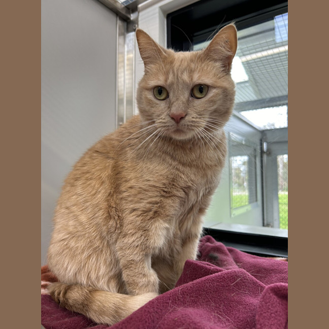 Photo of Circe
