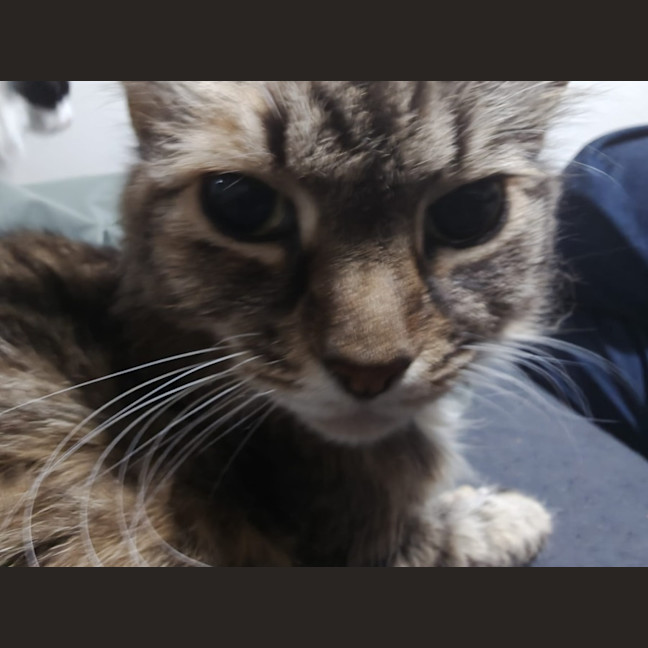 Photo of Georgie