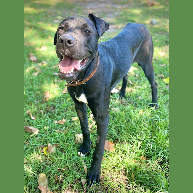 Photo of Princess Grace