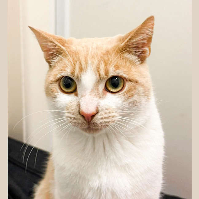 Photo of Barry