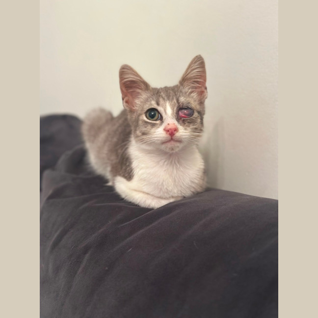 Photo of Tia