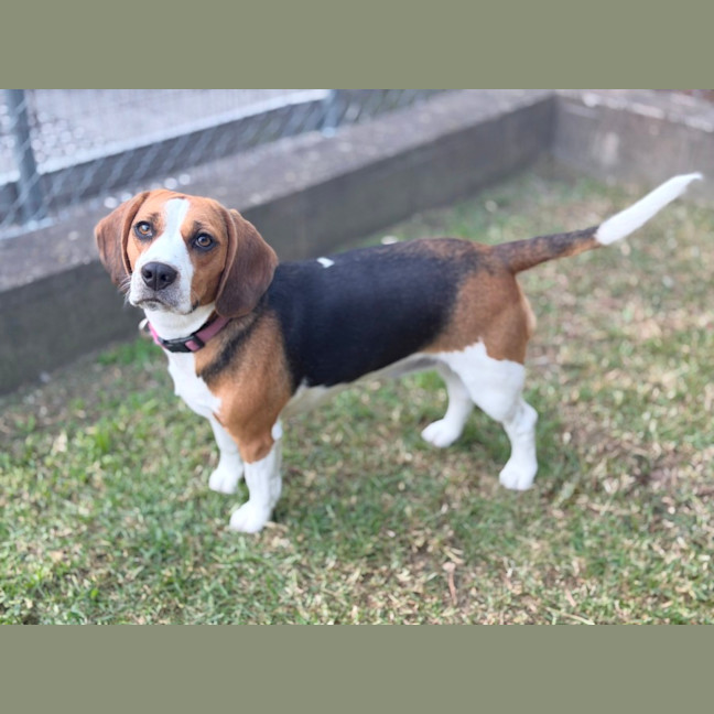Photo of Kiki