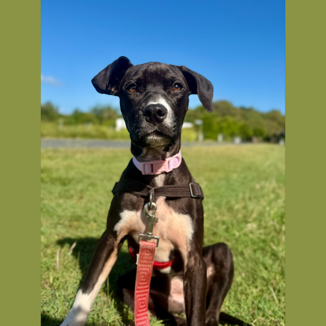 Photo of Hilda