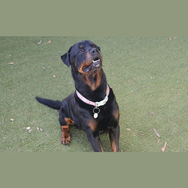 Photo of Bane