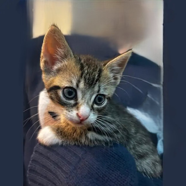 Photo of Ziggy And Mars