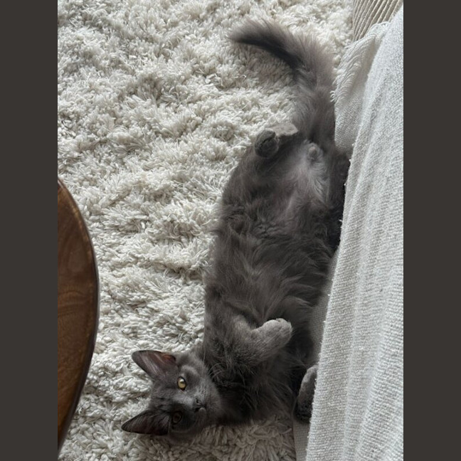 Photo of Earl Grey