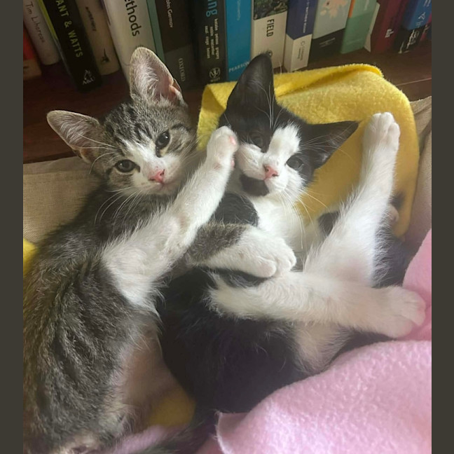 Photo of Olivia Benson & Elliot 