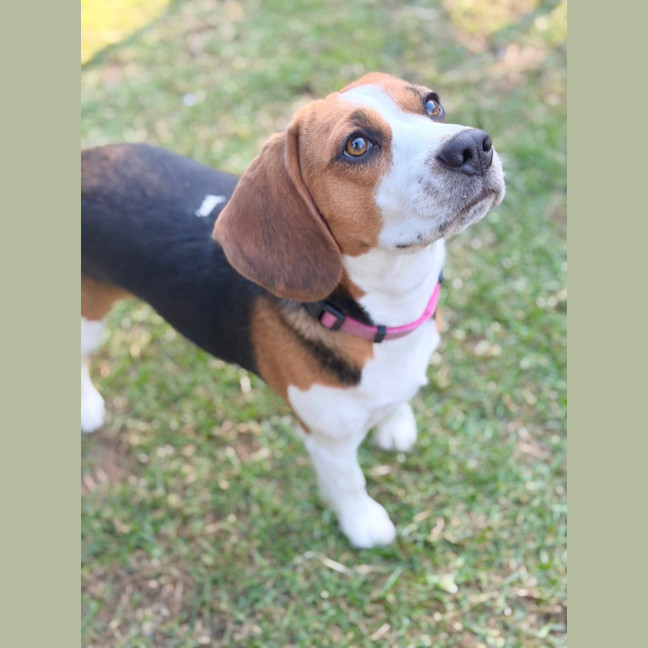 Photo of Kiki