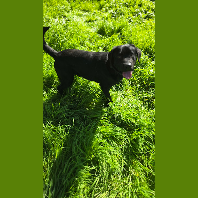 Photo of Rudy