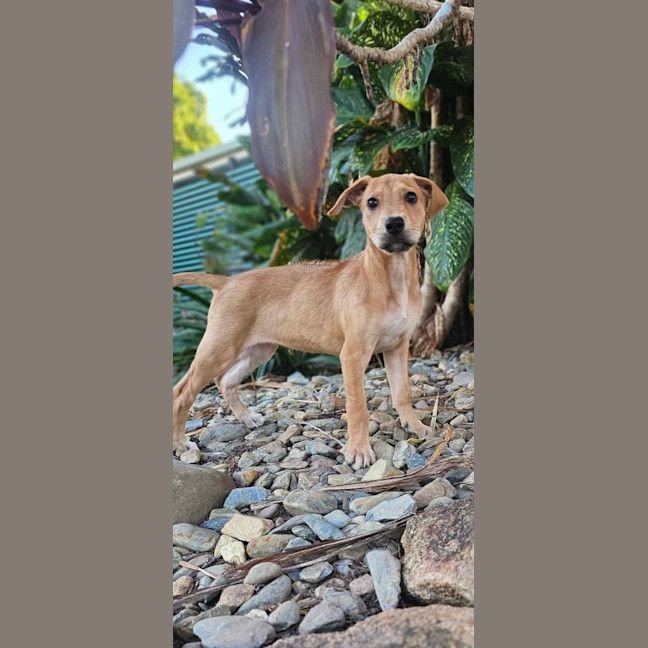 Photo of Statler