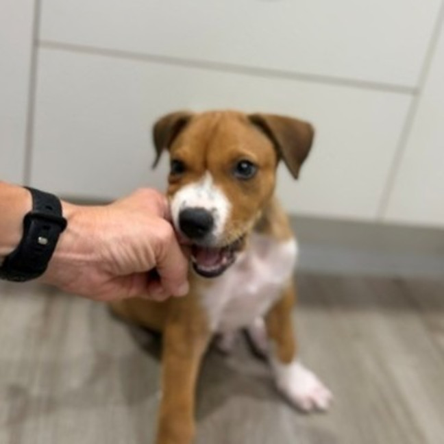 Photo of Charlie