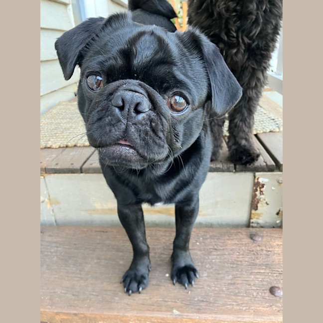 Photo of Milton 💗