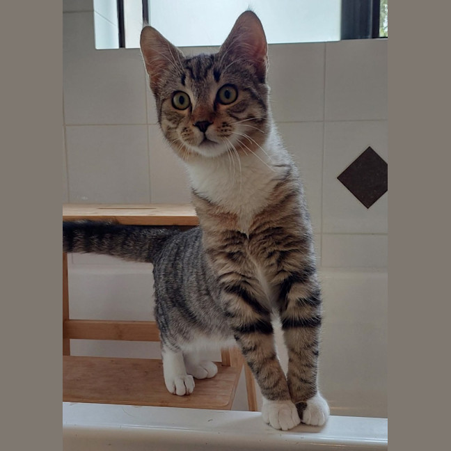 Photo of Roo
