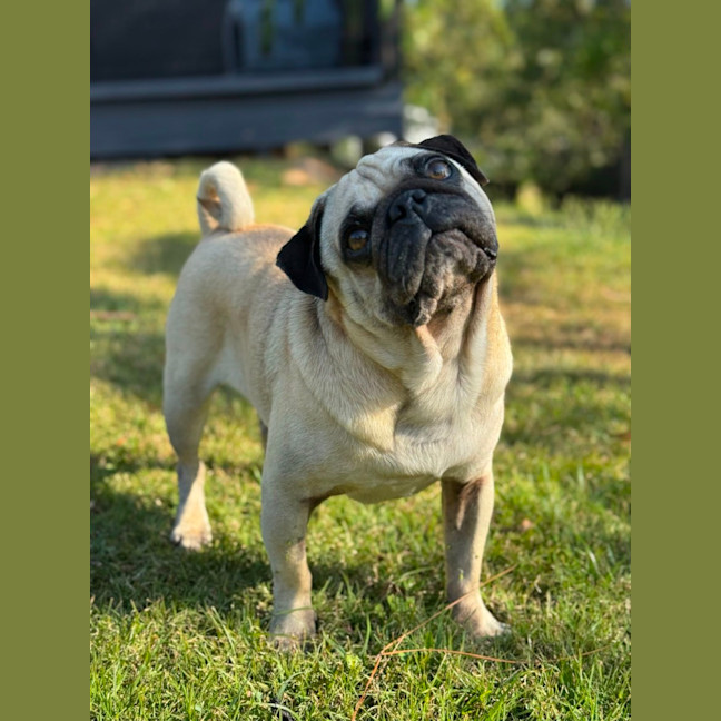 Photo of Casper 👻