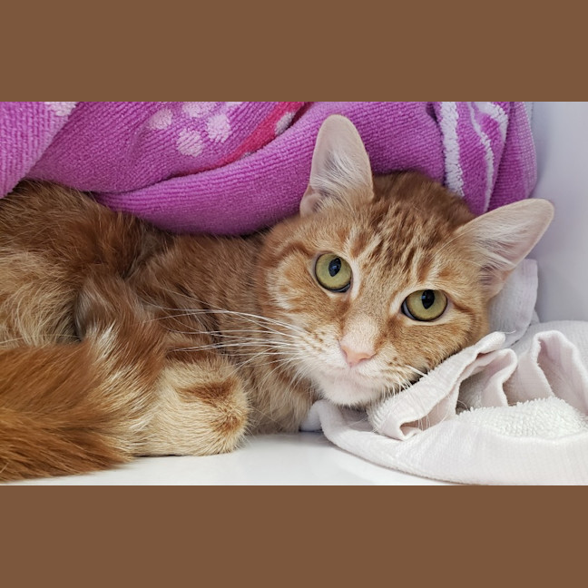 Photo of Valerie Sta013003