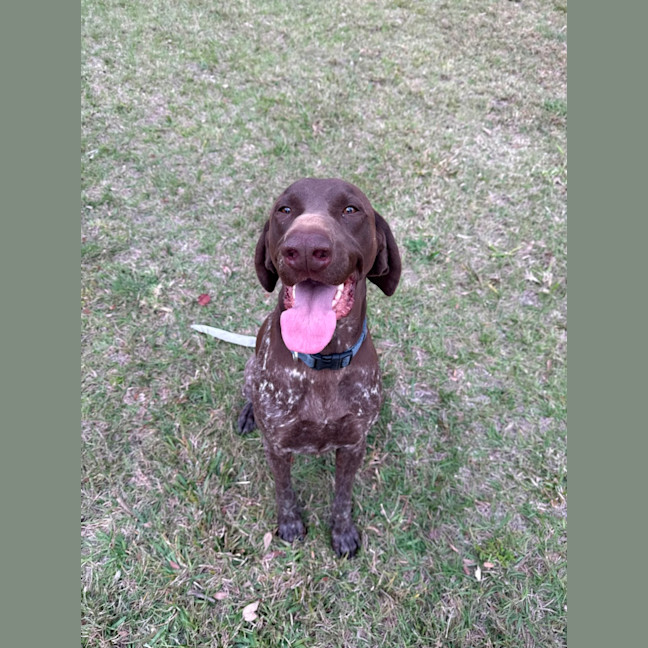 Photo of Cash